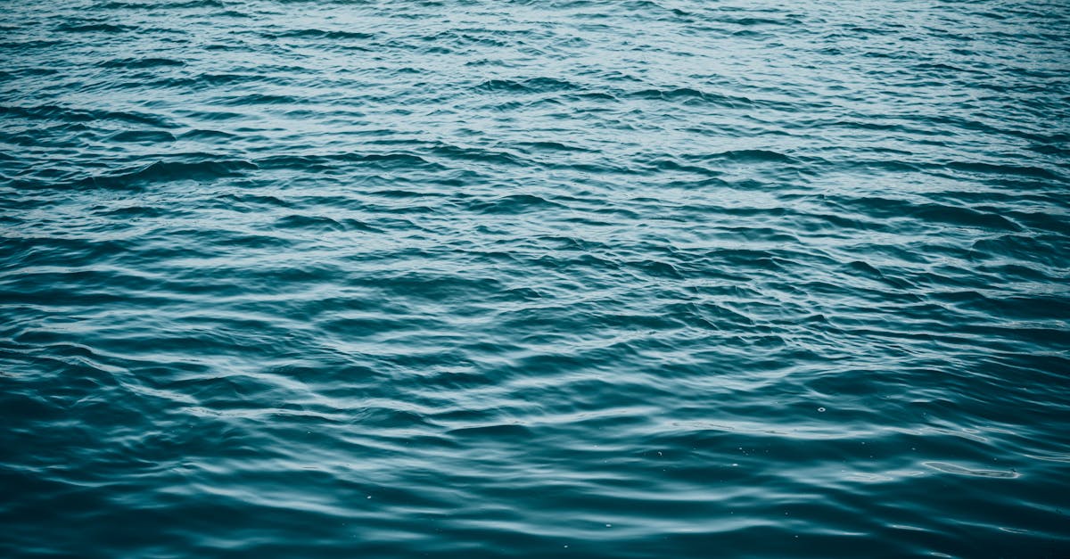 découvrez l'importance de l'eau, source de vie essentielle pour la planète et pour nous. explorez ses bienfaits, ses usages quotidiens, et les enjeux environnementaux liés à sa préservation.