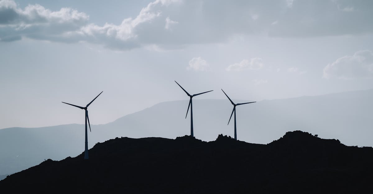 découvrez les enjeux du développement durable, une approche essentielle pour préserver notre planète tout en répondant aux besoins des générations présentes et futures. explorez des solutions innovantes, des initiatives écologiques et des pratiques responsables pour un avenir durable.