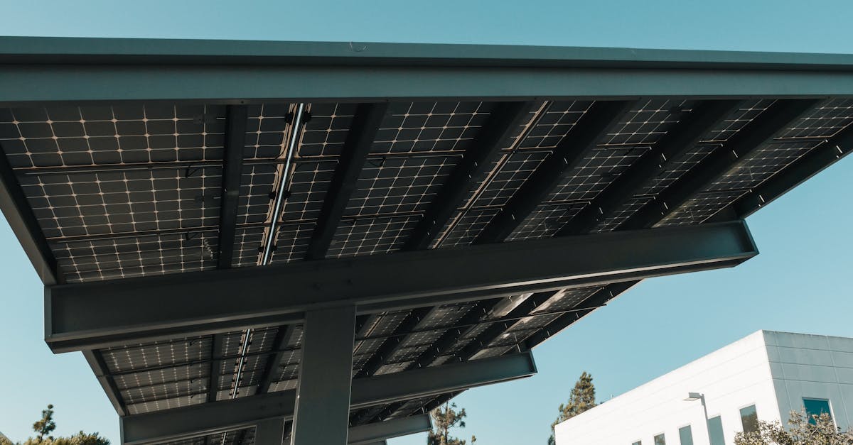 découvrez comment les villes durables transforment notre façon de vivre et d'interagir avec l'environnement. explorez des solutions innovantes, des pratiques écologiques et des idées inspirantes pour construire un avenir urbain plus vert et plus résilient.