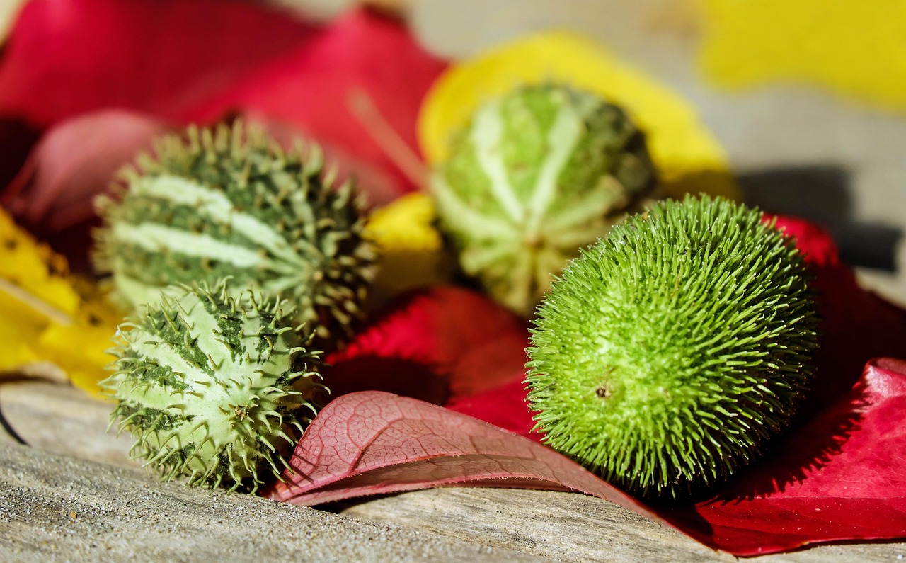 découvrez des pratiques de consommation responsables pour réduire votre impact environnemental et promouvoir un mode de vie durable.