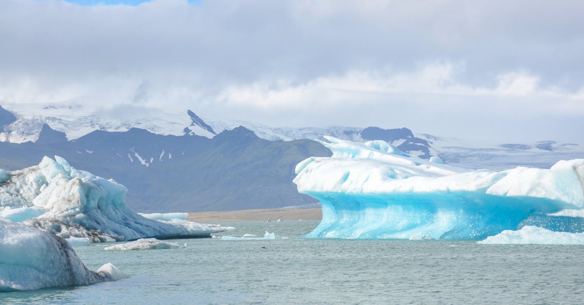 découvrez l'univers fascinant des glaciers : formations majestueuses de glace, impacts du changement climatique et paysages époustouflants. plongez dans la beauté de ces géants de la nature et apprenez-en davantage sur leur rôle crucial dans notre écosystème.