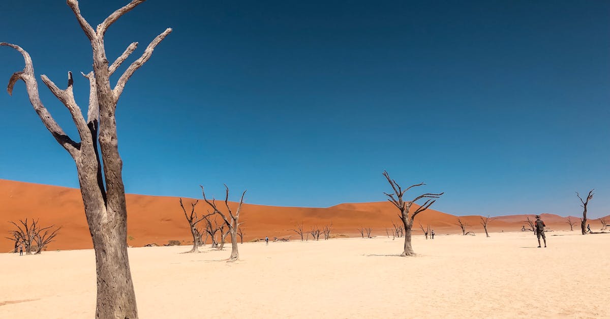 découvrez les extrêmes climatiques : leurs causes, impacts sur l'environnement et la société, ainsi que des solutions pour faire face à ces défis majeurs du xxie siècle.