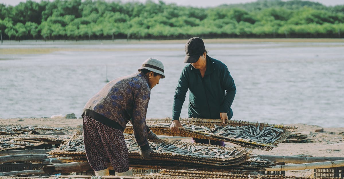 découvrez l'importance des ressources naturelles dans notre écosystème. apprenez comment elles soutiennent le développement durable, l'économie et le bien-être des sociétés tout en préservant notre environnement.