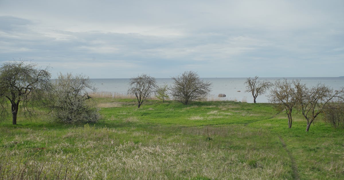 découvrez l'urgence climatique et son impact sur notre planète. informez-vous sur les actions nécessaires pour lutter contre le changement climatique et préserver notre héritage pour les générations futures.