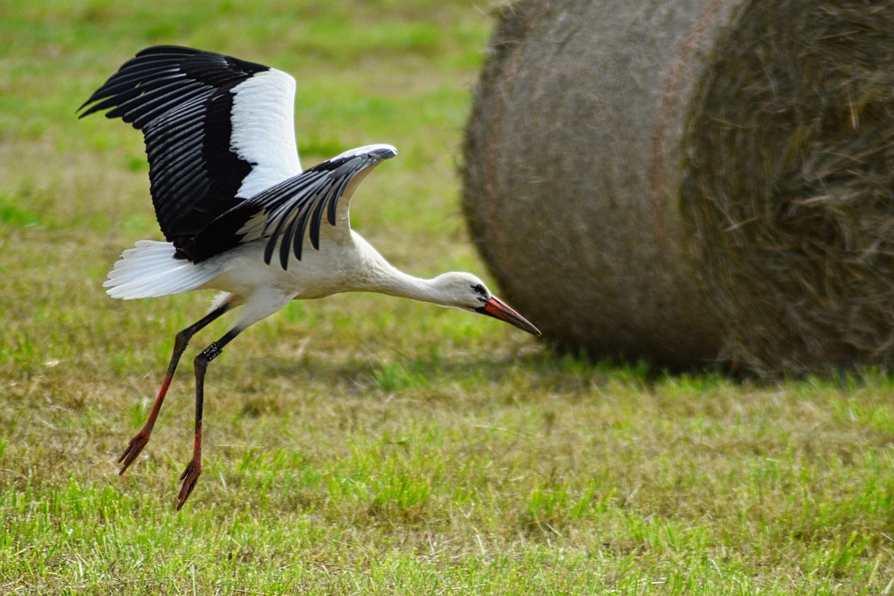 adoptez une approche durable pour préserver l'environnement tout en optimisant vos ressources. découvrez nos conseils et solutions pour un avenir plus responsable et respectueux de la planète.