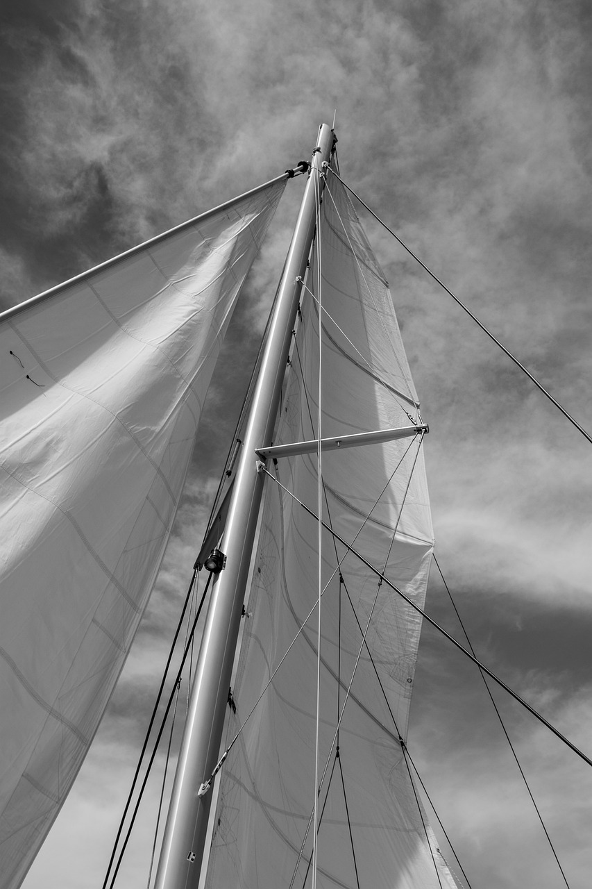 découvrez le plaisir de naviguer en catamaran, un bateau spacieux, stable et idéal pour des balades en mer, des croisières familiales ou des aventures entre amis.
