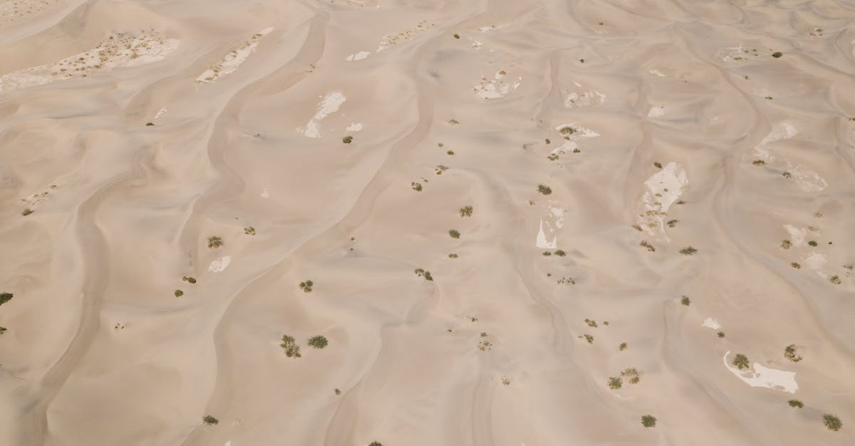 découvrez l'évolution de la température mondiale, ses impacts sur l'environnement et les défis climatiques actuels. informez-vous sur les conséquences du réchauffement climatique et les actions à entreprendre pour un avenir durable.