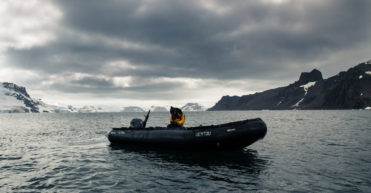 découvrez l'univers fascinant des glaciers : leurs formations majestueuses, leur rôle crucial dans l'écosystème terrestre et les menaces qui pèsent sur eux en raison du changement climatique. plongez dans cet enjeu environnemental vital et apprenez comment préserver ces géants de glace.