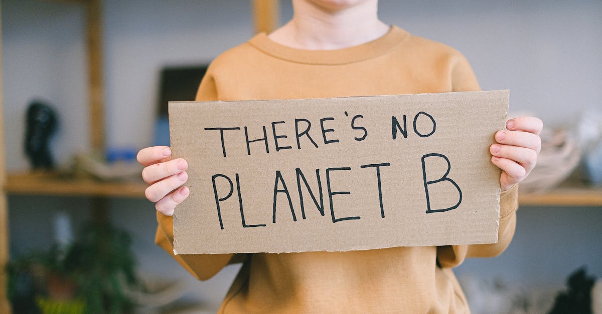 découvrez l'importance de la sensibilisation climatique et son impact sur notre avenir. apprenez comment chaque action compte dans la lutte contre le changement climatique et pourquoi il est crucial d'agir dès aujourd'hui.