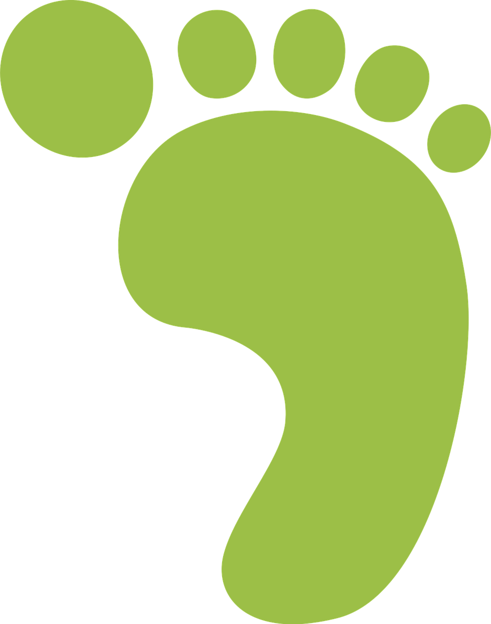 découvrez ce qu’est l’empreinte verte (green footprint) et comment adopter des habitudes écoresponsables pour réduire votre impact environnemental. conseils, astuces et solutions pour vivre plus durablement.