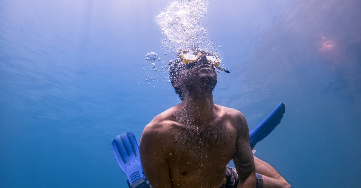 découvrez les merveilles des océans : leur biodiversité incroyable, les enjeux de leur préservation et les activités maritimes durables. plongez dans un monde fascinant rempli de mystères et de beauté.