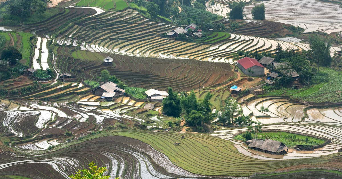 découvrez l'impact du climat sur notre planète, les enjeux écologiques majeurs et les actions à entreprendre pour préserver l'environnement. informez-vous sur les conséquences du changement climatique et comment chacune de nos actions peut faire la différence.