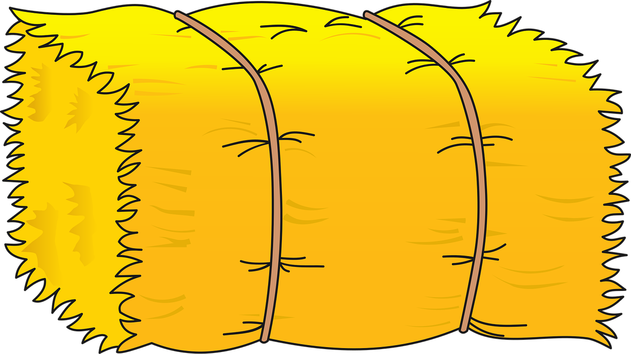 découvrez tout ce qu'il faut savoir sur le fourrage, son importance pour l'alimentation animale et les différentes méthodes de production.