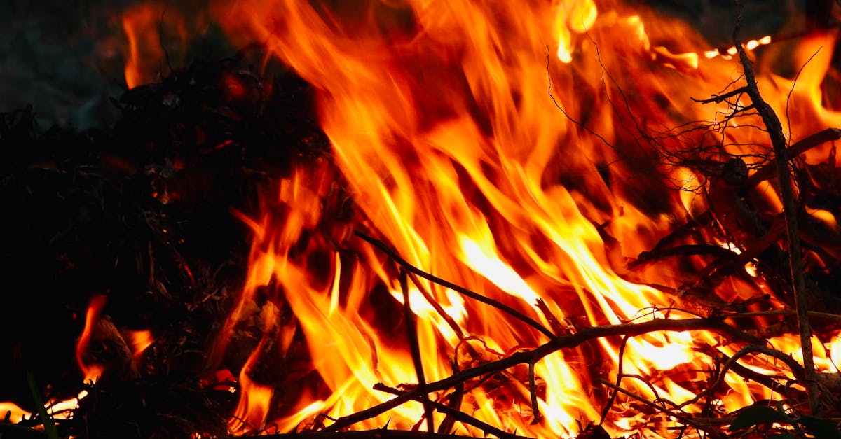 découvrez l'impact du changement climatique sur notre planète. analyse des conséquences environnementales, sociales et économiques, ainsi que des solutions pour un avenir durable.