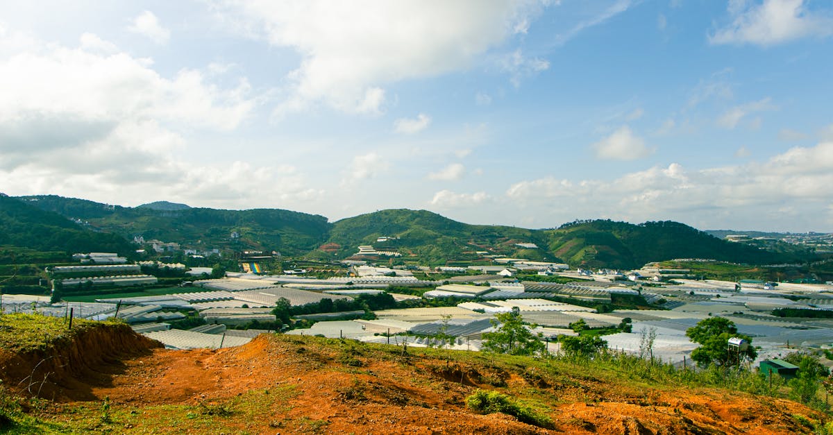 découvrez l'urgence climatique et ses impacts sur notre planète. apprenez comment agir pour un avenir durable et sensibilisez-vous aux enjeux environnementaux qui touchent l'humanité.