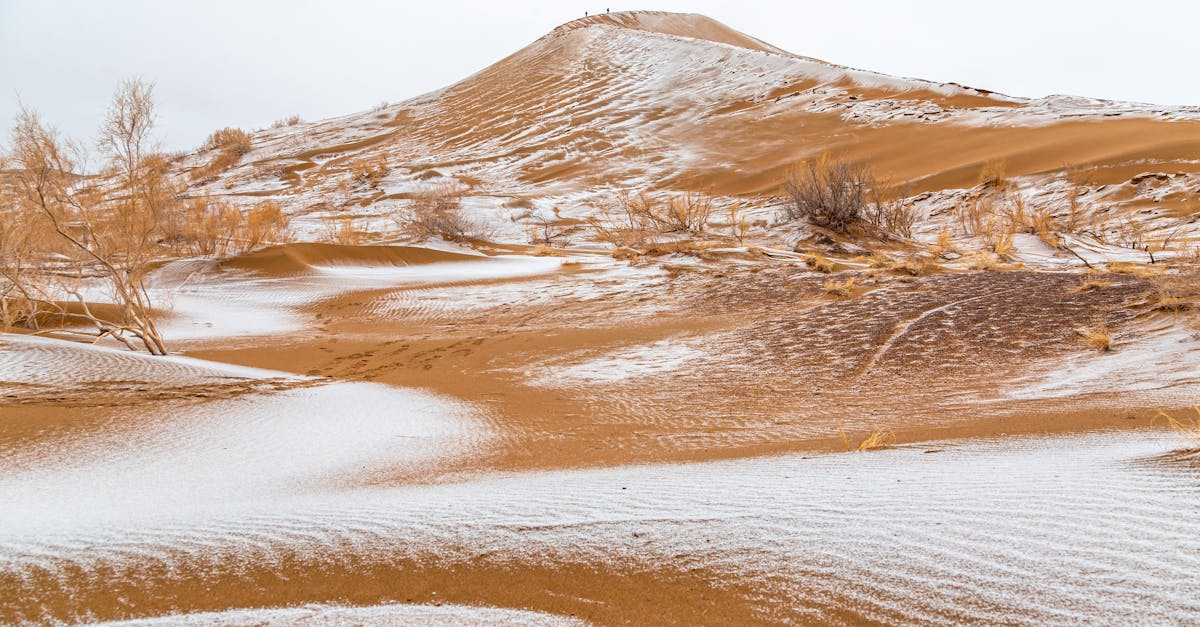 découvrez les extrêmes climatiques : faillites des écosystèmes, bouleversements météorologiques et impacts sur la biodiversité. informez-vous sur les enjeux des changements climatiques et les stratégies d'adaptation face à ces défis environnementaux croissants.