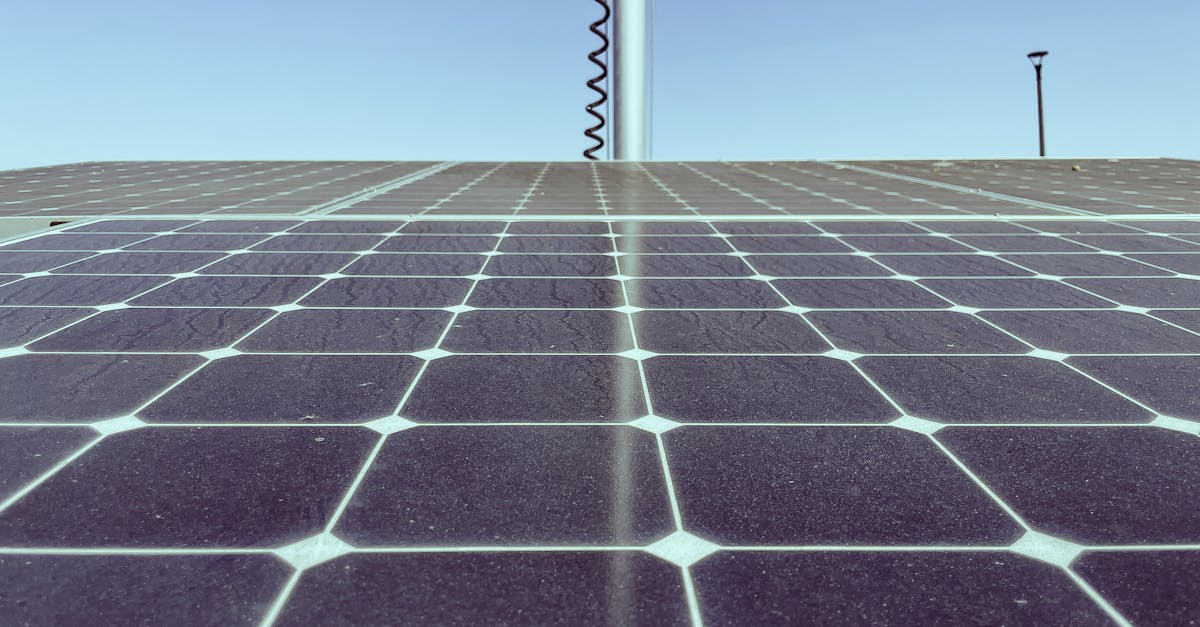 découvrez comment réduire votre empreinte carbone et adopter des pratiques durables pour un avenir plus sain. apprenez des astuces simples et efficaces pour minimiser votre impact sur l'environnement tout en vivant de manière responsable.