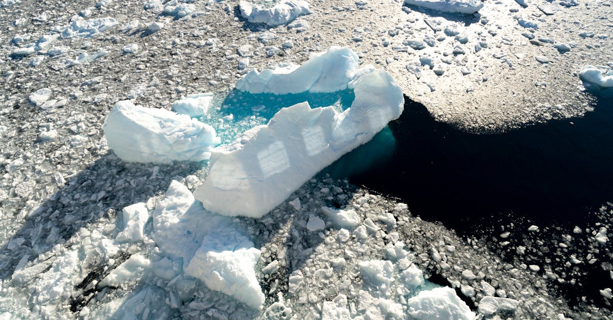 découvrez l'impact du climat sur notre planète et les enjeux environnementaux qui en découlent. informez-vous sur les changements climatiques, leurs effets sur la biodiversité, et les solutions pour atténuer ces défis.