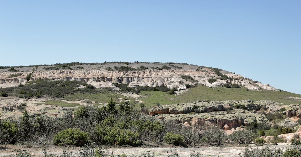 découvrez les politiques environnementales qui visent à protéger notre planète. explorez les stratégies et initiatives visant à réduire l'impact écologique, promouvoir la durabilité et encourager les comportements responsables envers l'environnement.