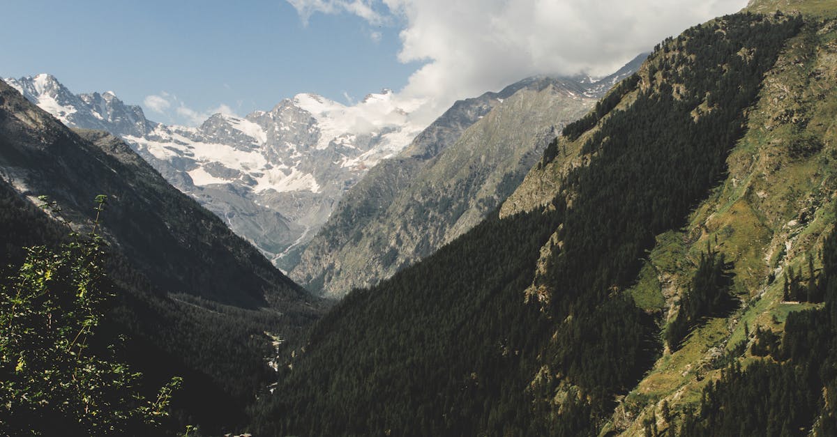 découvrez l'univers fascinant des glaciers : formations majestueuses de glace, écosystèmes uniques et enjeux environnementaux. explorez l'impact du changement climatique sur ces géants de la nature et admirez leur beauté à couper le souffle.