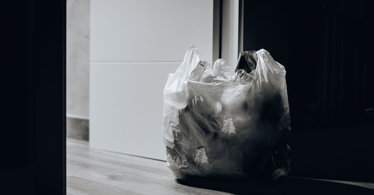 découvrez des solutions innovantes de gestion des déchets pour un avenir durable. apprenez comment optimiser le recyclage, réduire les déchets et adopter des pratiques écologiques efficaces.