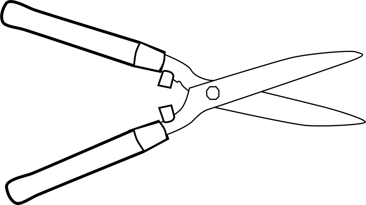 découvrez notre sélection d'outils de jardinage pratiques et durables pour entretenir facilement votre jardin et vos espaces verts.