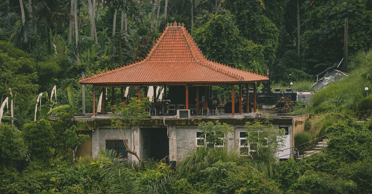 découvrez la beauté et la biodiversité des forêts tropicales, véritables trésors de la planète. plongez dans un monde riche en espèces uniques, écosystèmes enchanteurs et l'importance cruciale de leur préservation pour l'équilibre écologique.