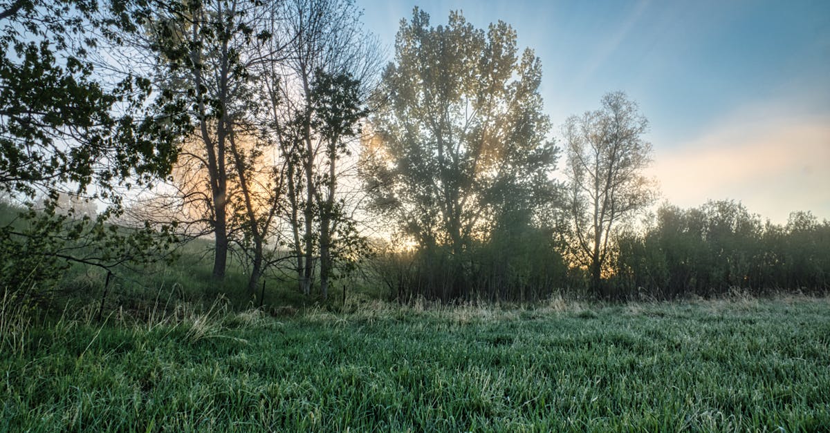 découvrez l'importance de la santé climatique et son impact sur notre bien-être. informez-vous sur les enjeux actuels liés aux changements climatiques et aux solutions possibles pour améliorer notre environnement et notre qualité de vie.