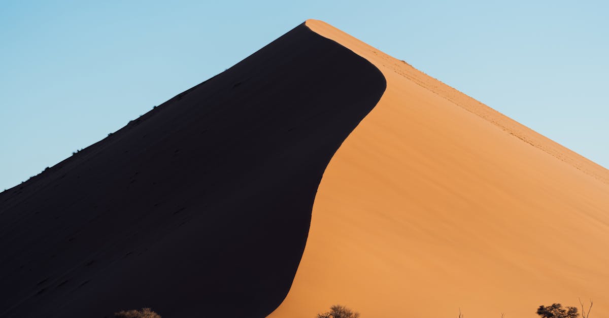 découvrez l'urgence climatique : enjeux actuels, impacts sur notre planète et actions essentielles à entreprendre pour préserver l'avenir de l'environnement.