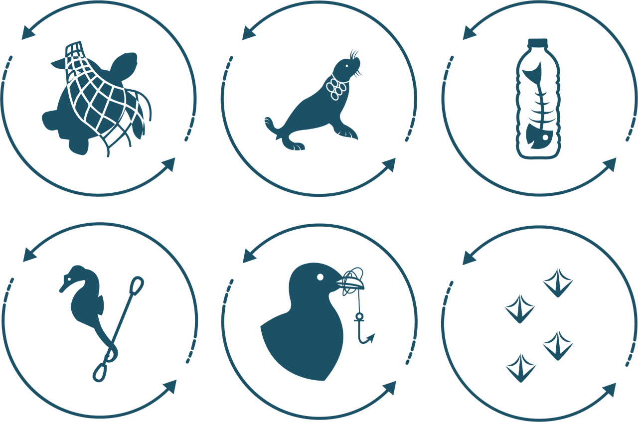 découvrez les enjeux et solutions liés au plastique contaminé, un défi majeur pour l'environnement et le recyclage durable.