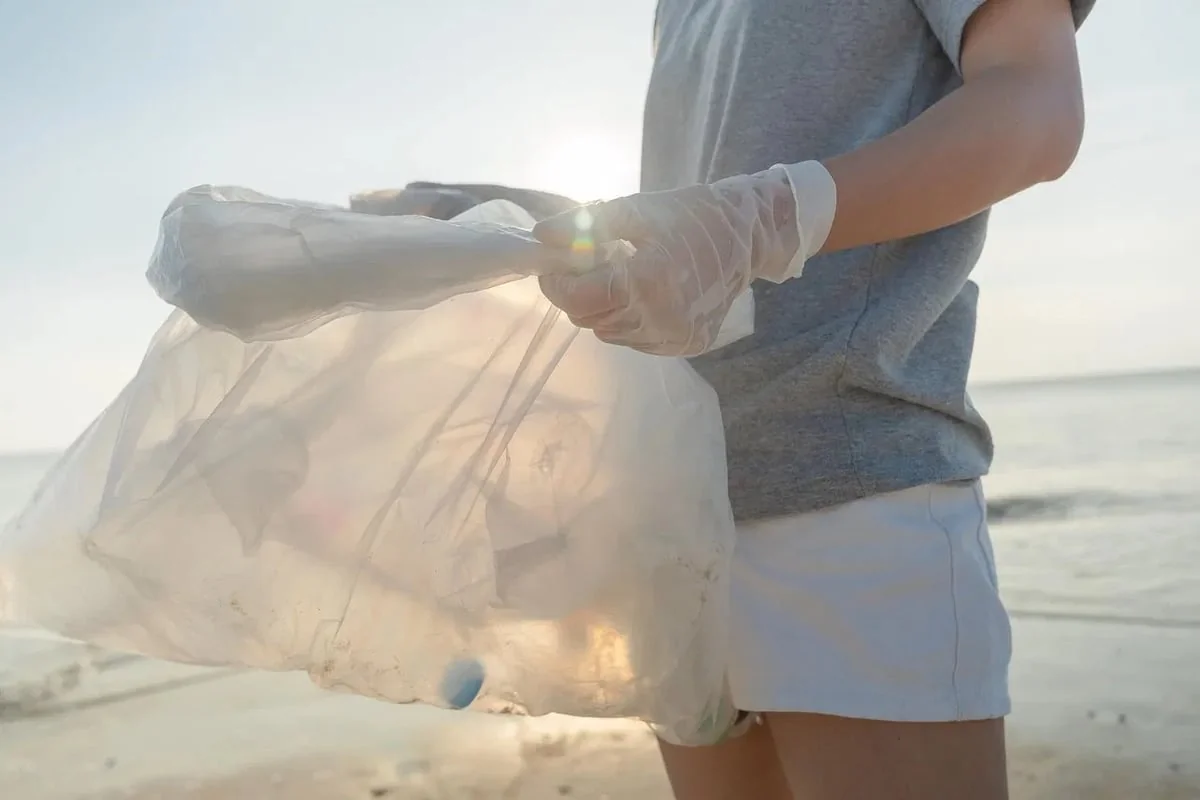 La solution SAP Carbon Footprint : un vecteur de transformation durable pour les entreprises