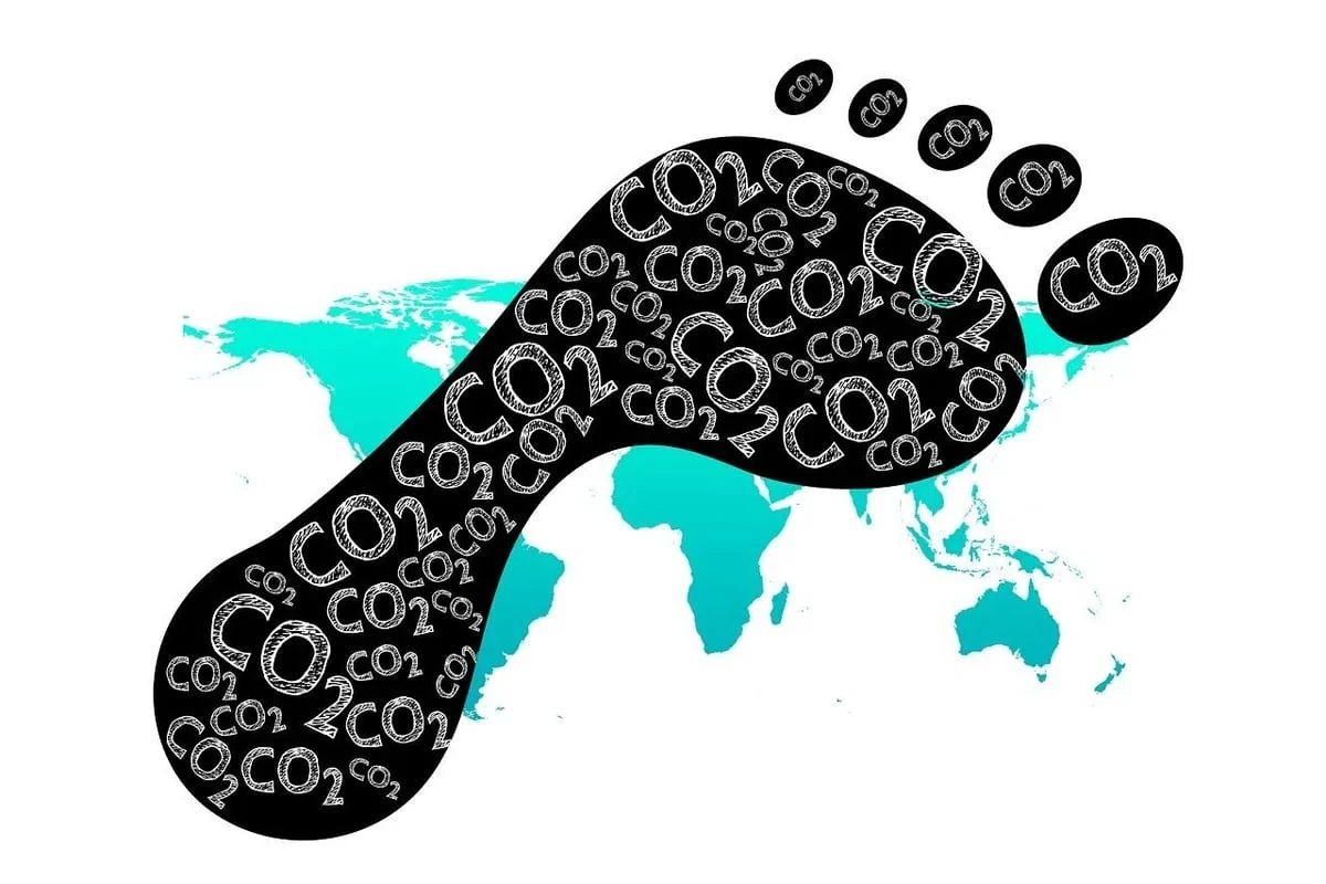 Explorez l’empreinte écologique de votre présence sur les réseaux sociaux grâce à cet outil interactif !