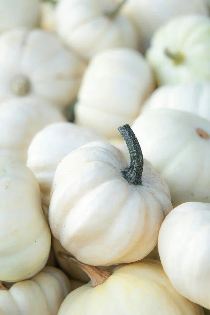 Acheter local en 2025 : pourquoi privilégier les produits de saison ?