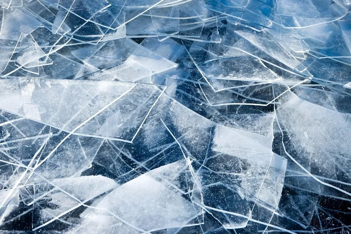 Changement climatique et bilan carbone : tout ce que vous devez savoir