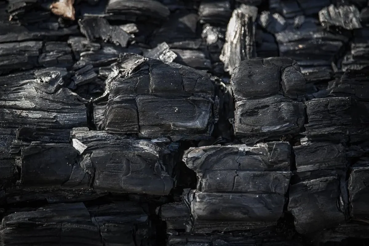 Bilan carbone et justice sociale : un lien à explorer