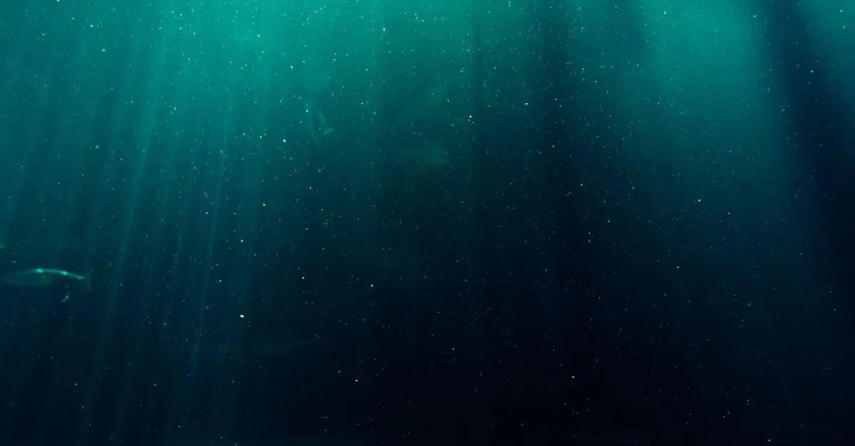 La mer en danger : conséquences du changement climatique