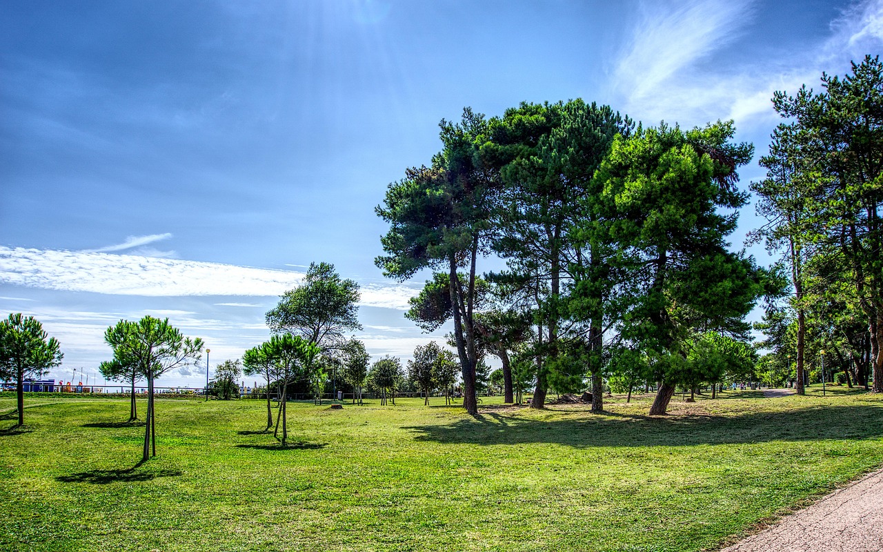 Arbre et Paysage 32 : une dynamique intense malgré des incertitudes financières