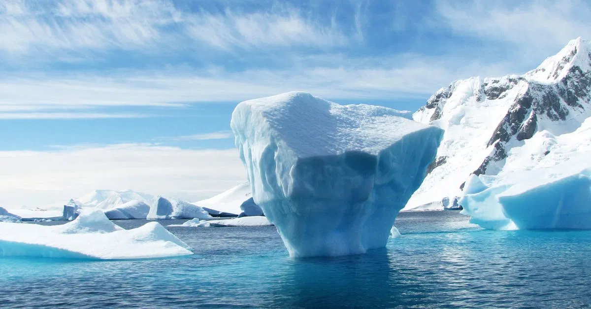 L’arctique en mutation : impacts des changements écologiques sur les écosystèmes