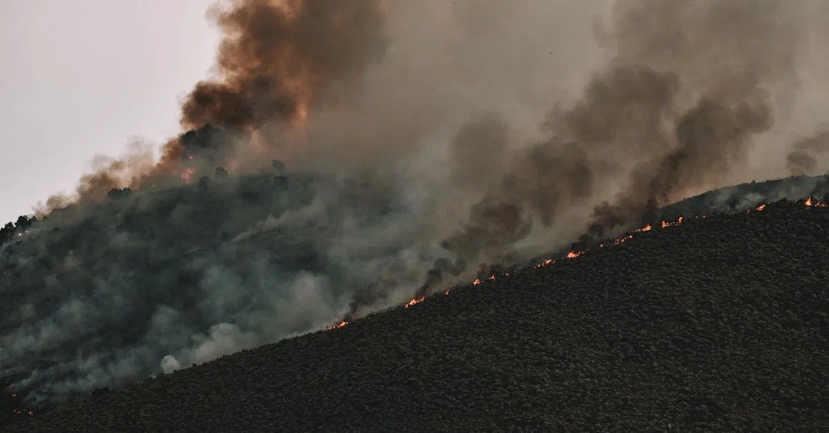 Les effets du climat sur l’économie mondiale