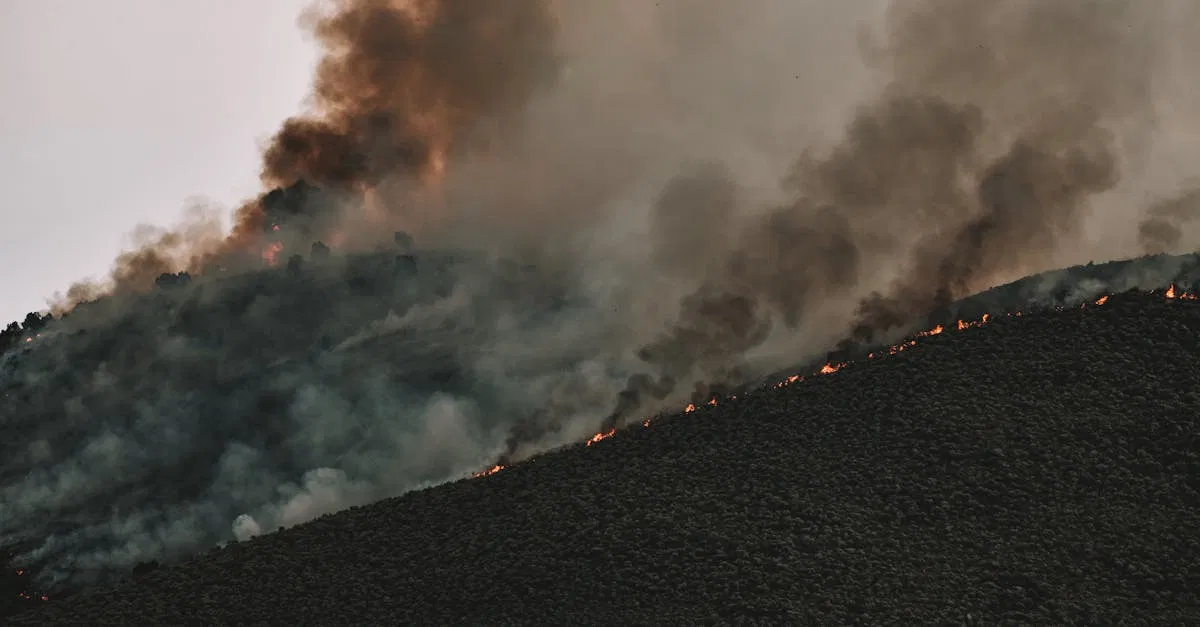 Les effets du climat sur l’économie mondiale