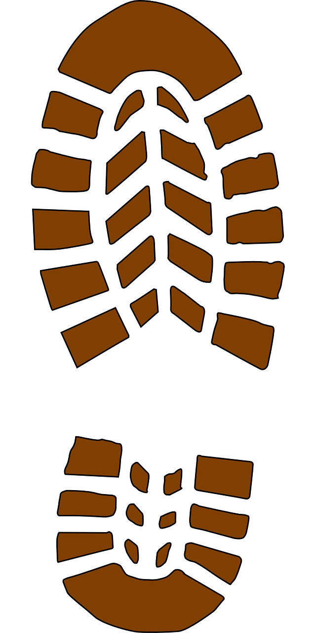 Case study : entreprises ayant réussi leur bilan carbone