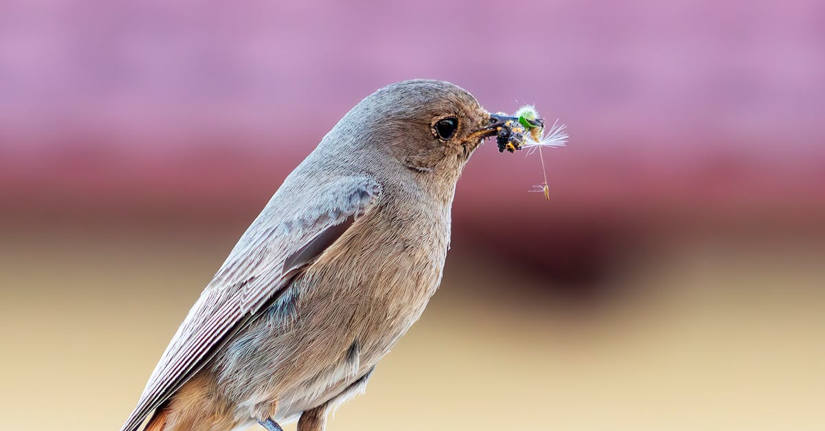 Évolution des politiques environnementales depuis 2020