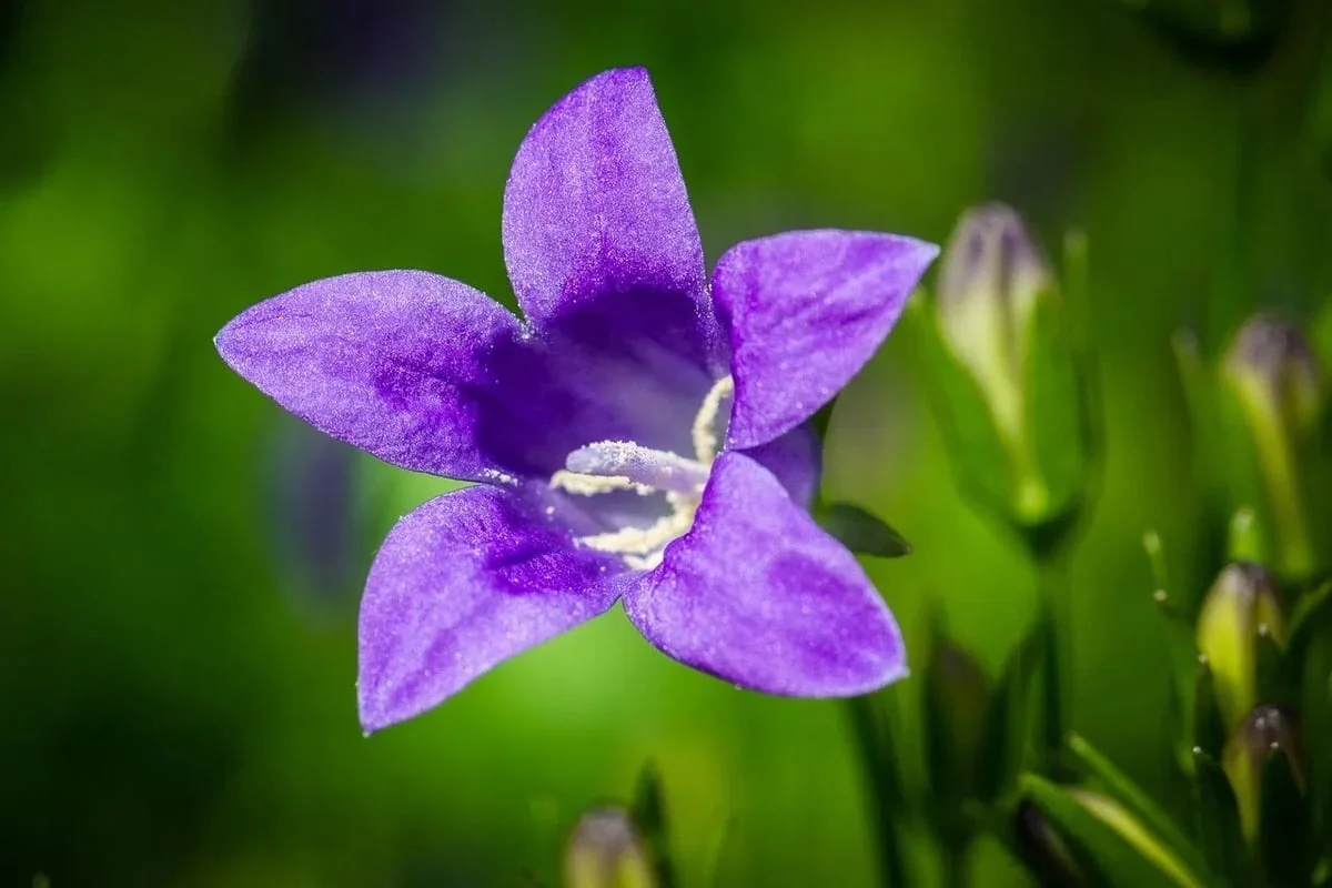 Comprendre les Émetteurs de Gaz à Effet de Serre : Les Facteurs Clés