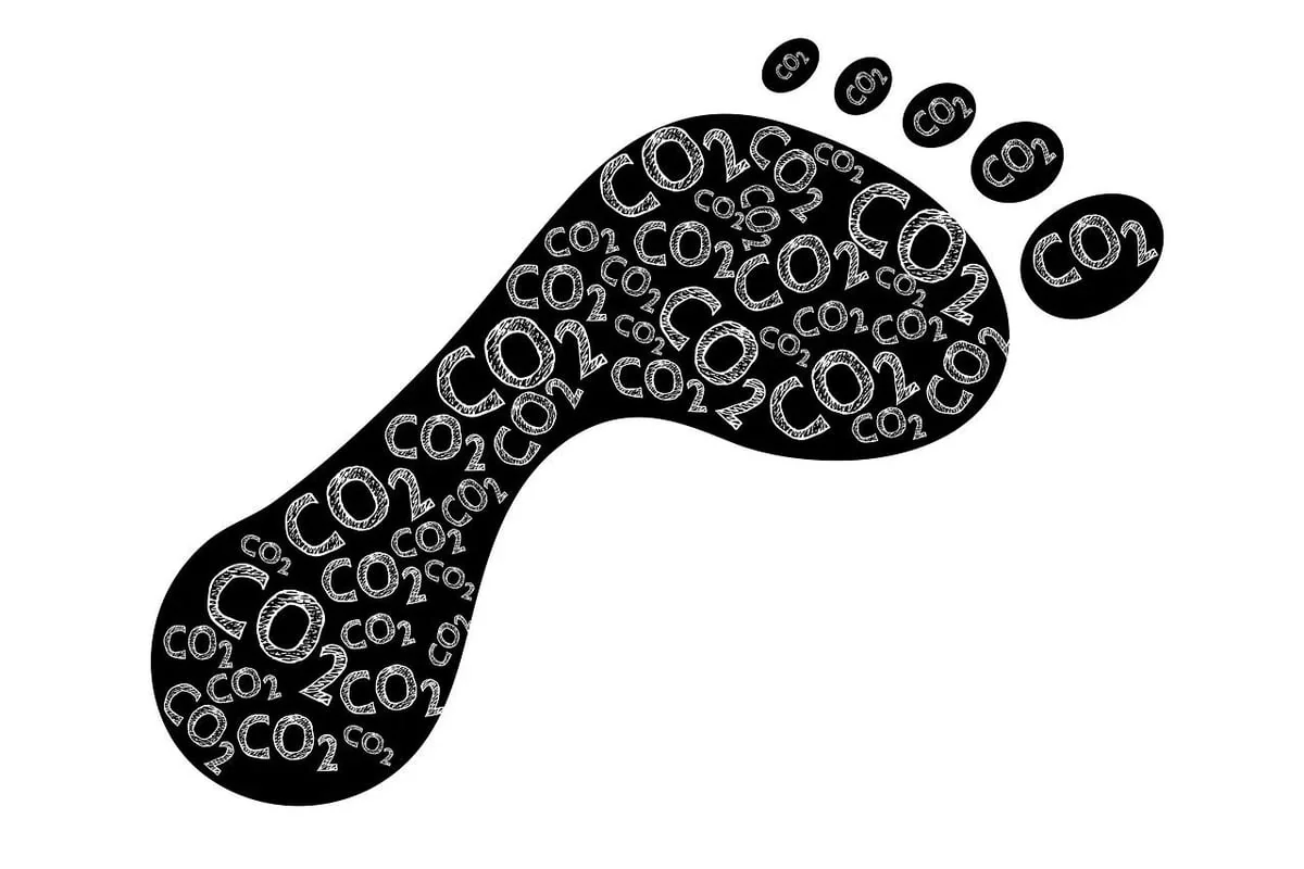 L’empreinte écologique : déchiffrer le poids de notre impact sur la planète