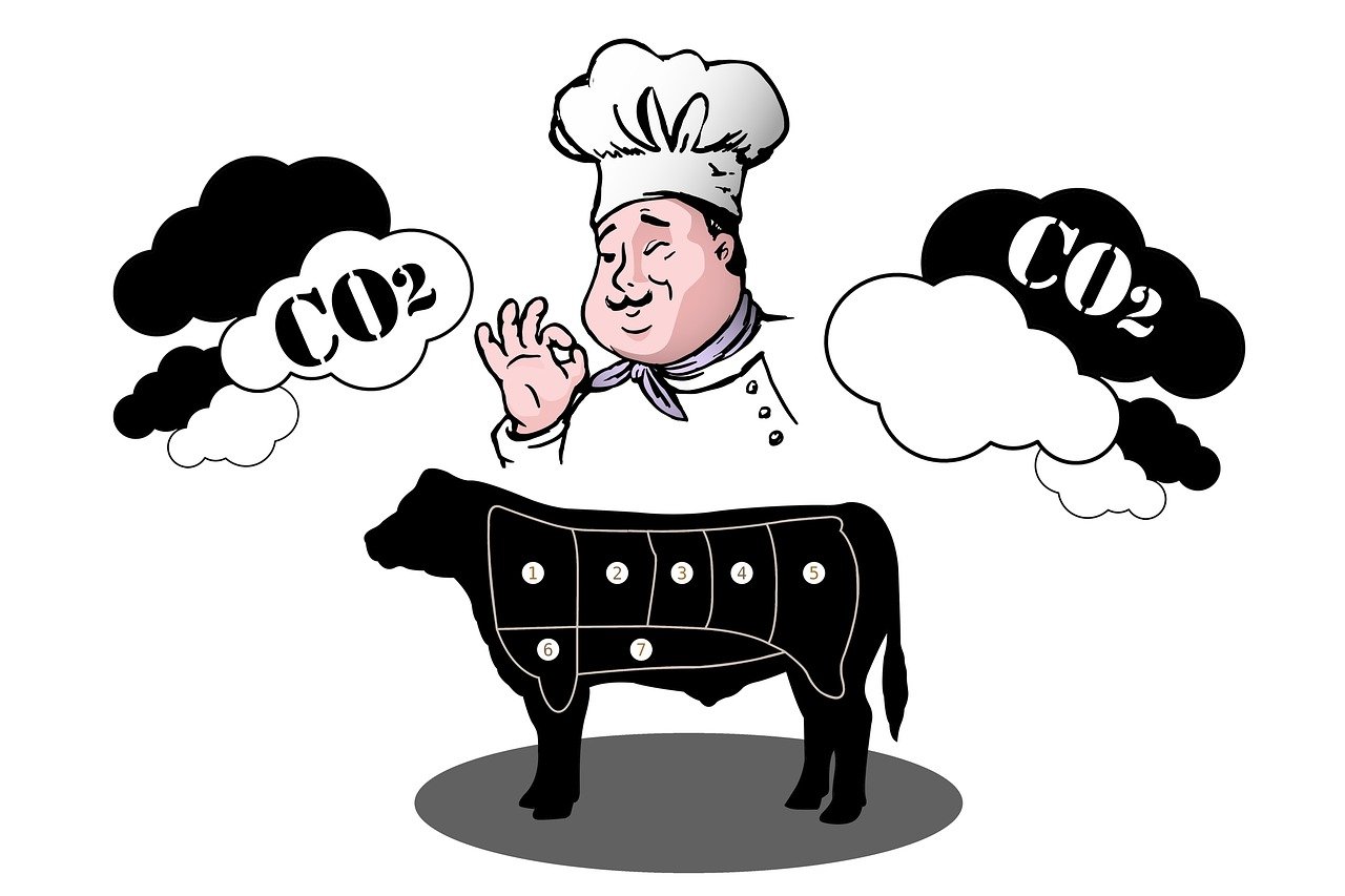 Le bilan carbone dans le secteur agricole