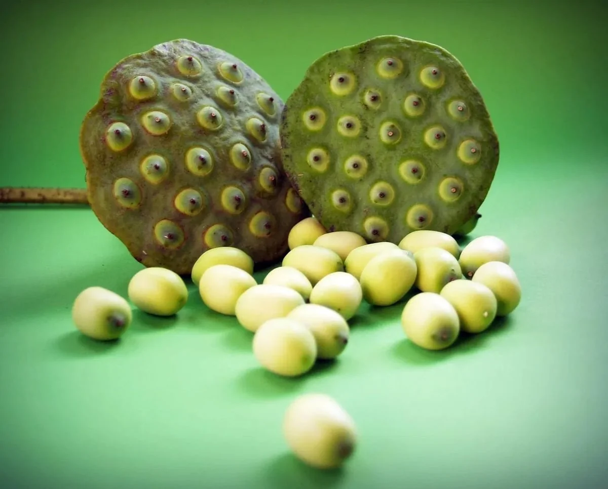 Ce détail souvent ignoré sur les fruits et légumes bio pourrait bien avoir autant d’importance que leur absence…