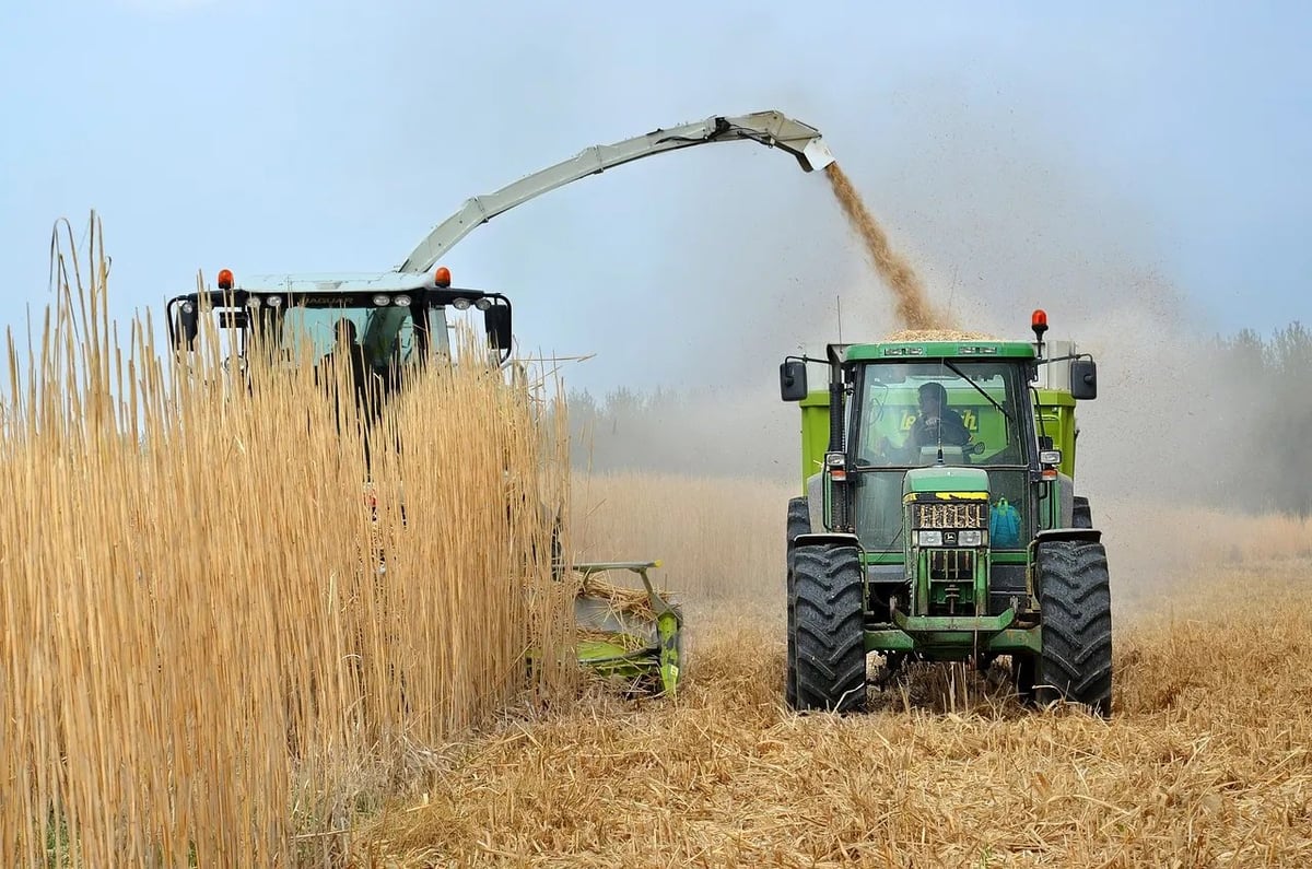 Les biocarburants : un bilan carbone à analyser