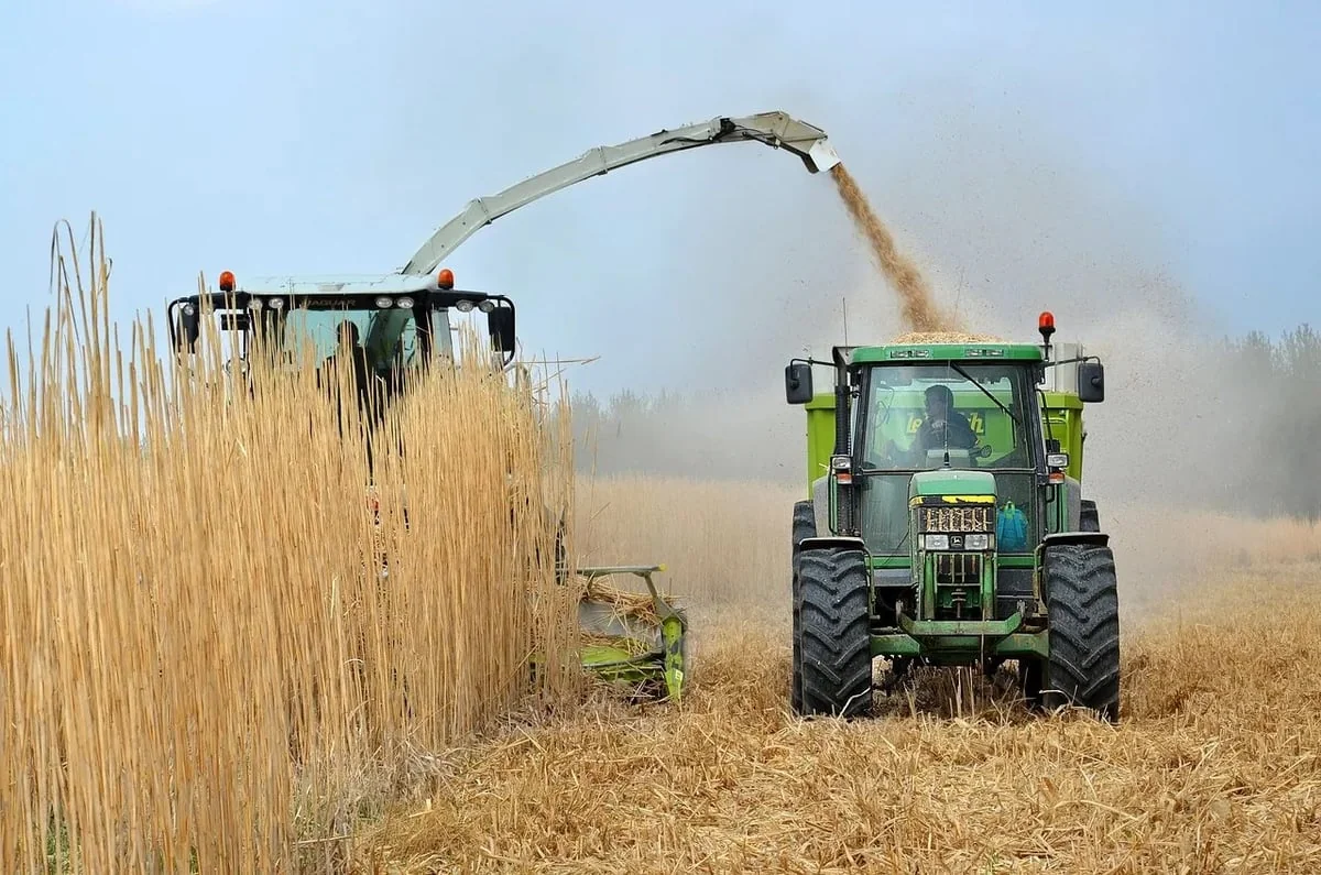Les biocarburants : un bilan carbone à analyser