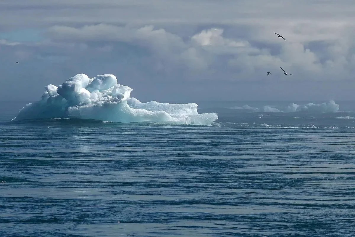 Agir Localement pour un Impact Global : Vos Actions Contre le Changement Climatique