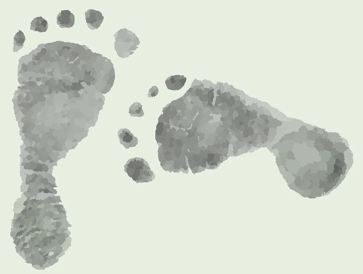 Droits humains et empreinte carbone : et si chaque produit révélait son impact environnemental et social ?
